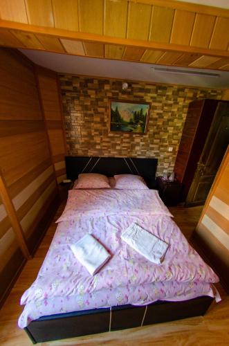 Casa Daniel, Sinaia (fotografie 8)