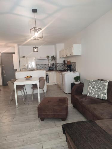 Superbe appartement avec piscine l'été de juin à septembre, Nice (fotografie 5)