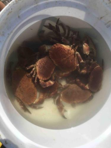 Seaside apartment in farmhouse close to nature in มาลอย