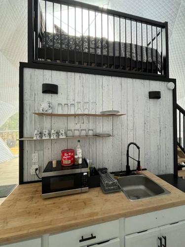 Chamcook_B Dome in เซนต์ แอนดริวส์