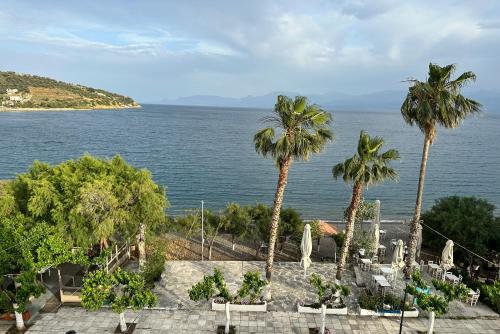 Mistral-Καπος in 파랄리아 톨로포노스