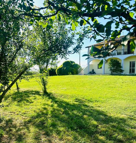 Az. Agricola Agriturismo Lo Schiucciolo in Альбініа