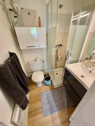 Appartement Gare Toulouse Matabiau Climatisé, Toulouse (fotografie 10)