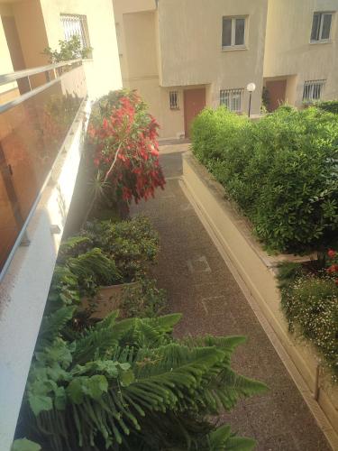 Superbe appartement avec piscine l'été de juin à septembre, Nice (fotografie 10)
