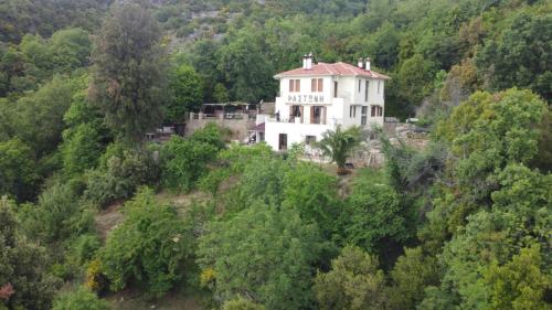 RASTONI Pelion - Vizitsa