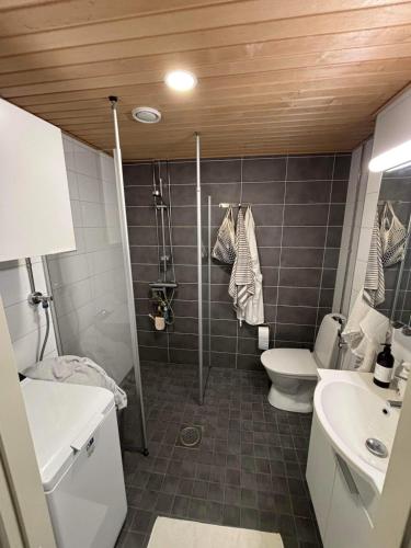 Apartment in the centre of Jyväskylä, Jyväskylä (fotografie 9)