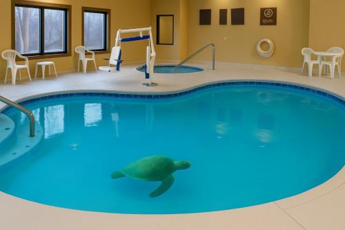 Vista Suites Near Island and Leconte Convention Center