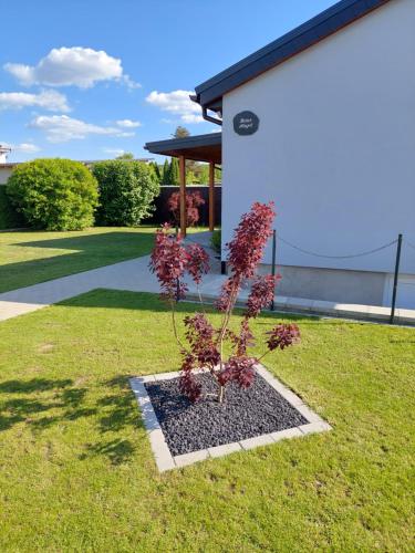 Haus Angel-am See in Heldrungen