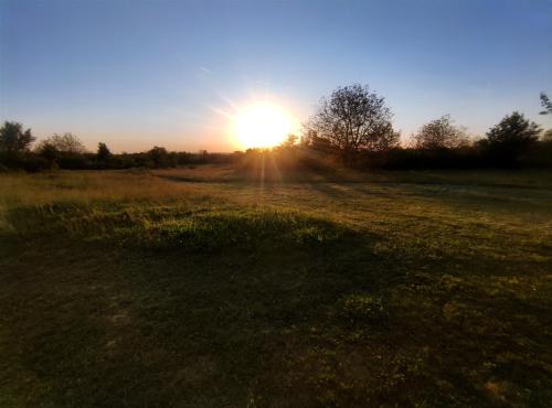tuin, DuVa mongolska yurta in Petrovac Na Mlavi
