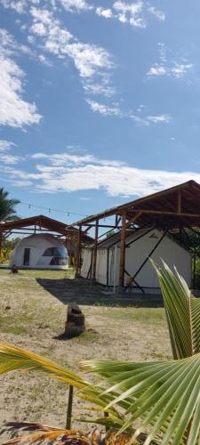 Glampings Boreal in Mompiche