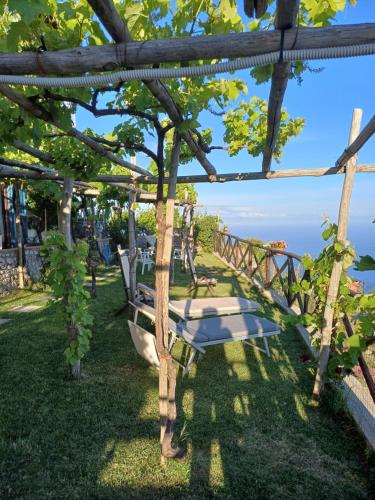 Infinity blu, Furore (Foto 5)