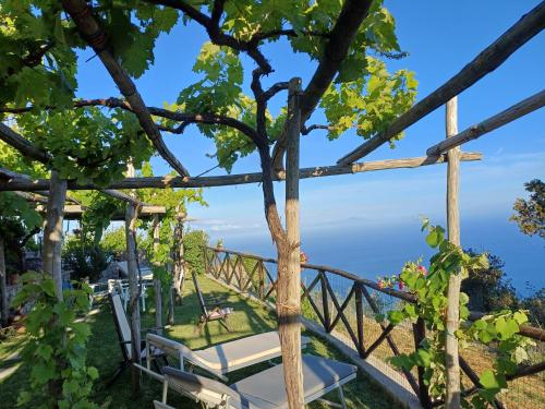Infinity blu, Furore (Foto 9)
