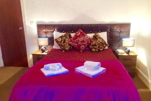 Metro Star - image 9