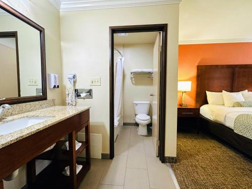 Comfort Inn Near Old Town Pasadena in Eagle Rock CA - image 3