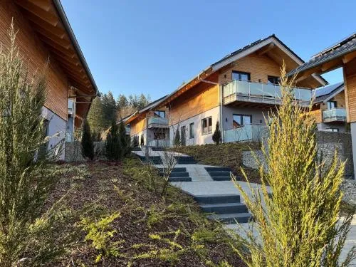 modernes Chalet in Hahnenklee in Hahnenklee-Bockswiese, Deutschland