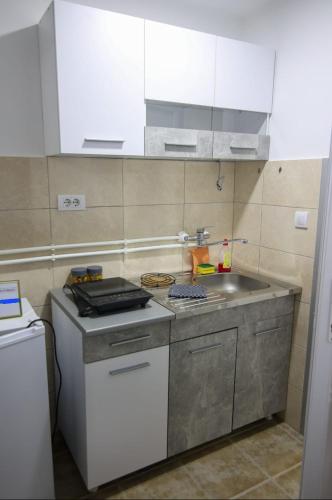 Banja Vrujci Apartmani Nikolic in Popadić