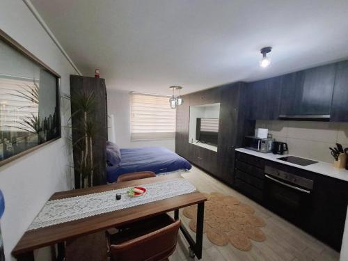 Departamento estudio frente al Parque Ohiggins y Movistar Arena