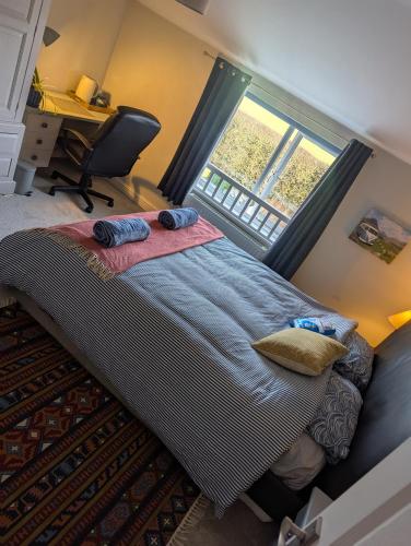 Number 46, Bicton (foto 4)