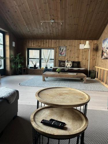 Modern mountain apartmen Ski in and out in Triusilis