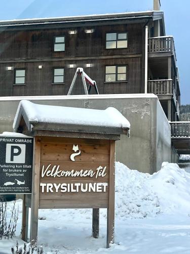 Modern mountain apartmen Ski in and out in Triusilis