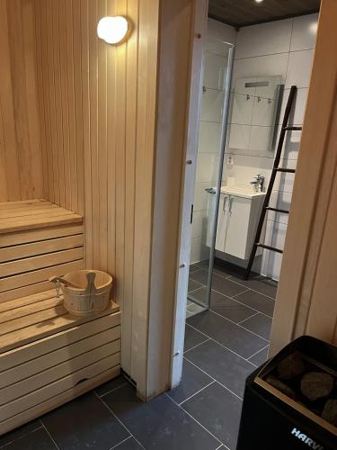 Modern mountain apartmen Ski in and out in Triusilis