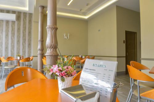 Pub/Lounge, Hostal Linares in Ribadeo