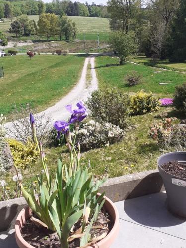 Chez Papy 4