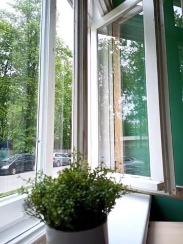 Cozy 1-bedroom apartment with free parking, Riga (fotografie 10)