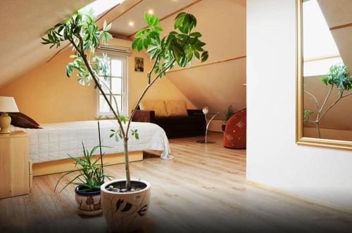 "Trakaitis" apartments & holiday homes in Trakai