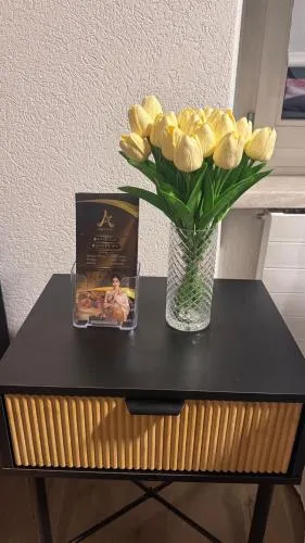 Andaman 1 Zimmer Wohnung in Luzern, Schweiz