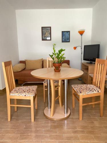 Apartman - Dobrota Sun, Kotor (photo 10)