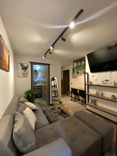 Luxury Industrial Penthouse