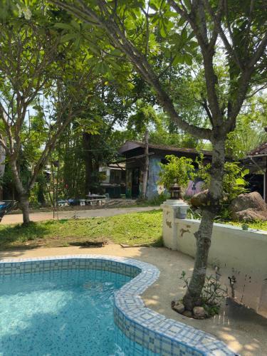 Shaya Resort