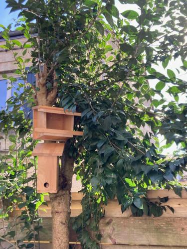 Chambre dans un appartement avec jardin, Bordeaux