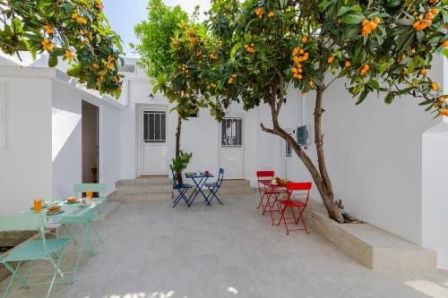 Cleopatra's Backyard 2