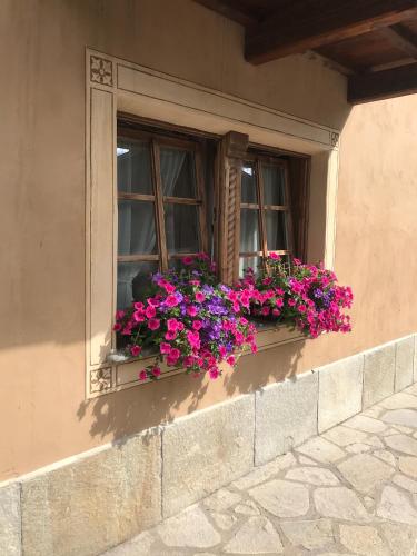Baita Brozol Room Type - Apartment - Ground Floor