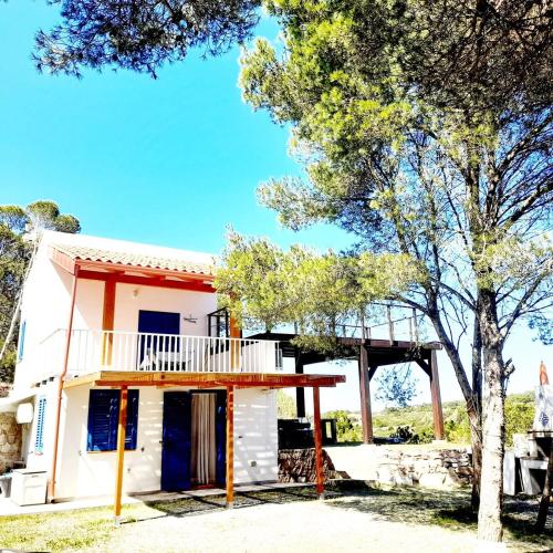 Casa vacanze in pineta vista mare