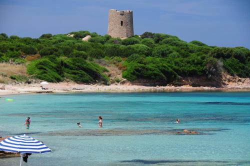 live the dream in vignola bay, Aglientu