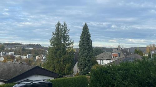 สภาพแวดล้อมโดยรอบ, Ferienwohnung Engel in บัด ชวาลบัค