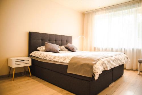 Sepa Apartment in Valga