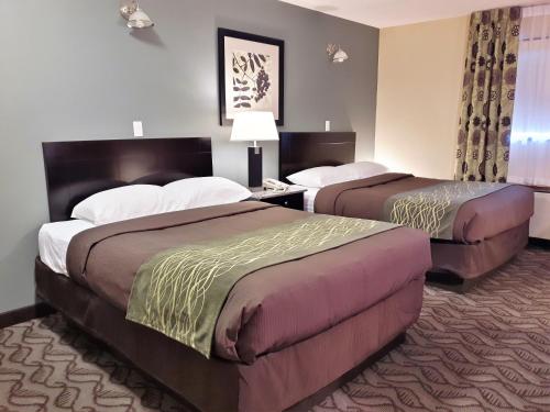 2 queen beds