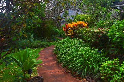 Banyan Tree B&B Retreat Banyan Tree B&B Retreat