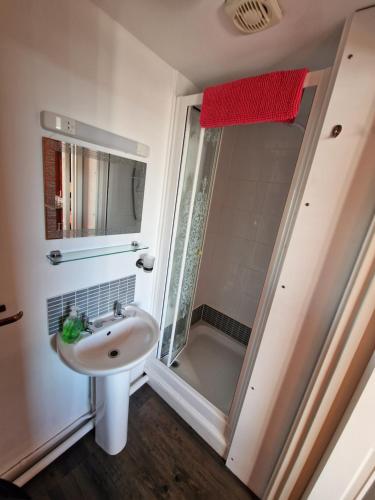 Standard Double Room image 4