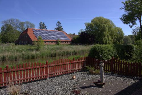 Bambus, Wangerland (foto 9)