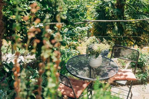 Wild Valley Essenza in the Onsernone Valley in Isorno