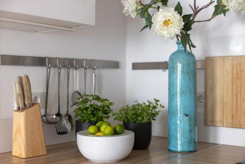 廚房, Dream Green Apartment 'Meadow' in 格拉登巴赫