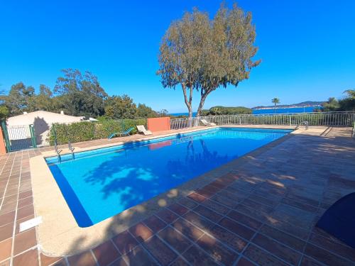 Le Mas des oliviers - Location, gîte - Grimaud