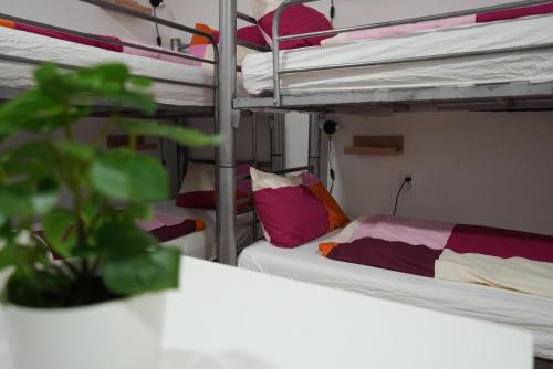 Center Hostel and Guest House - image 8