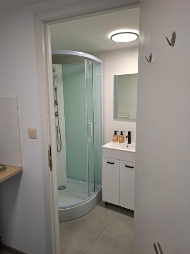 Apartment in Mons center, Mons (fotografie 9)