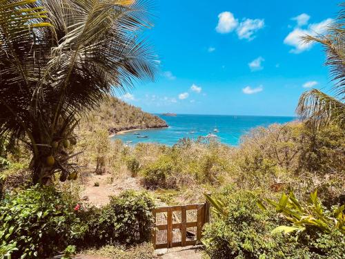 Gîte Ti Kazalo, cabane perchée, vue mer spectaculaire, pieds dans l'eau (Gite Ti Kazalo, cabane perchee, vue mer spectaculaire, pieds dans l'eau) in Terre-de-Haut